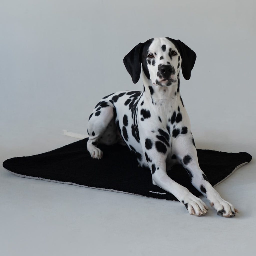 Teddy Mat