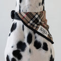 Check Scarf