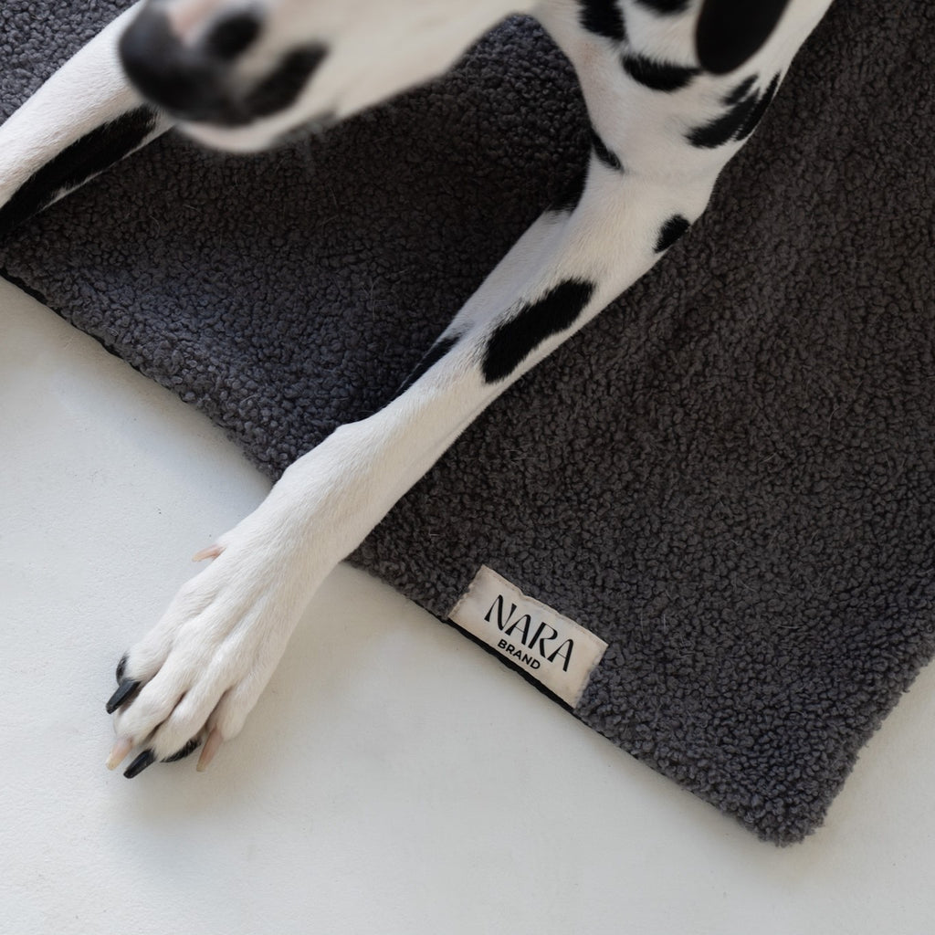 Teddy Mat