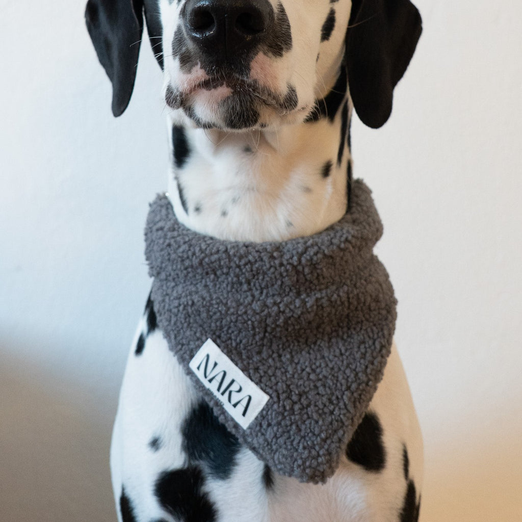 Teddy Scarf