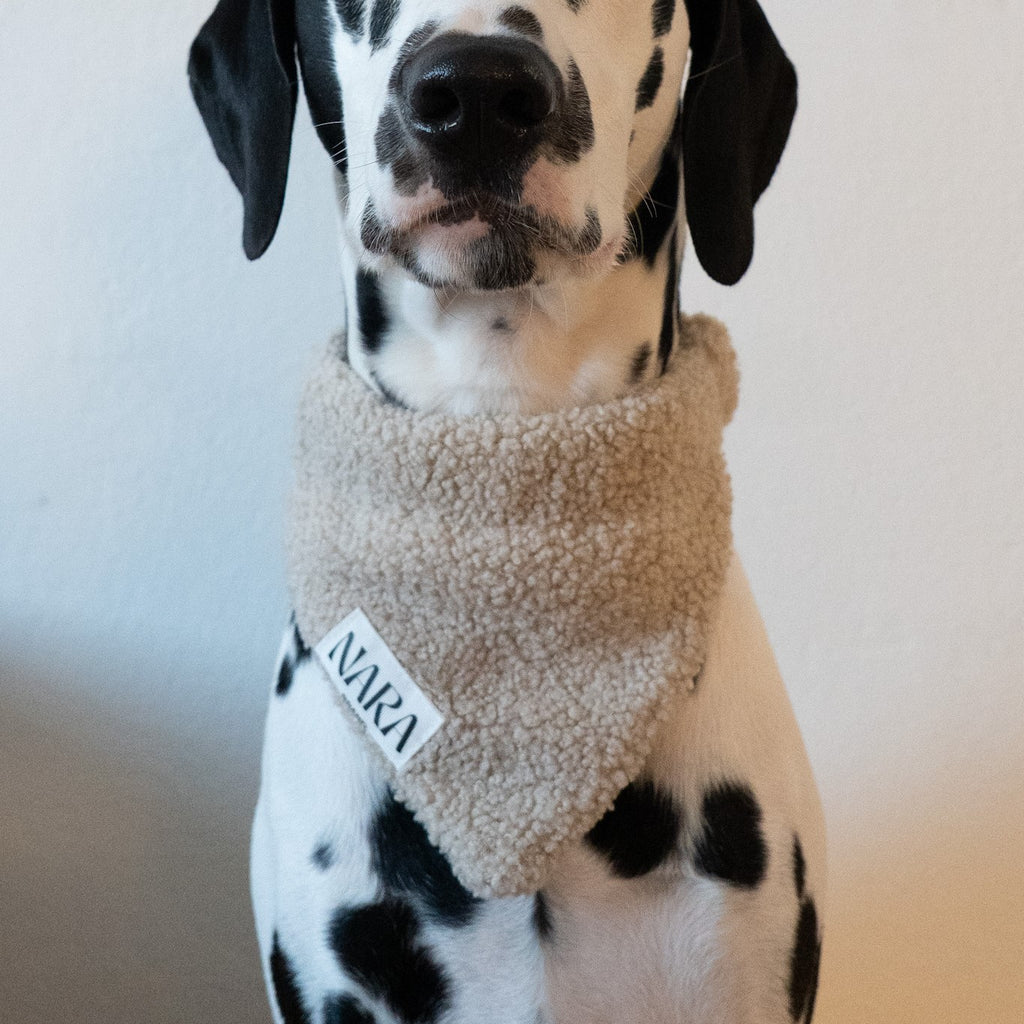 Teddy Scarf