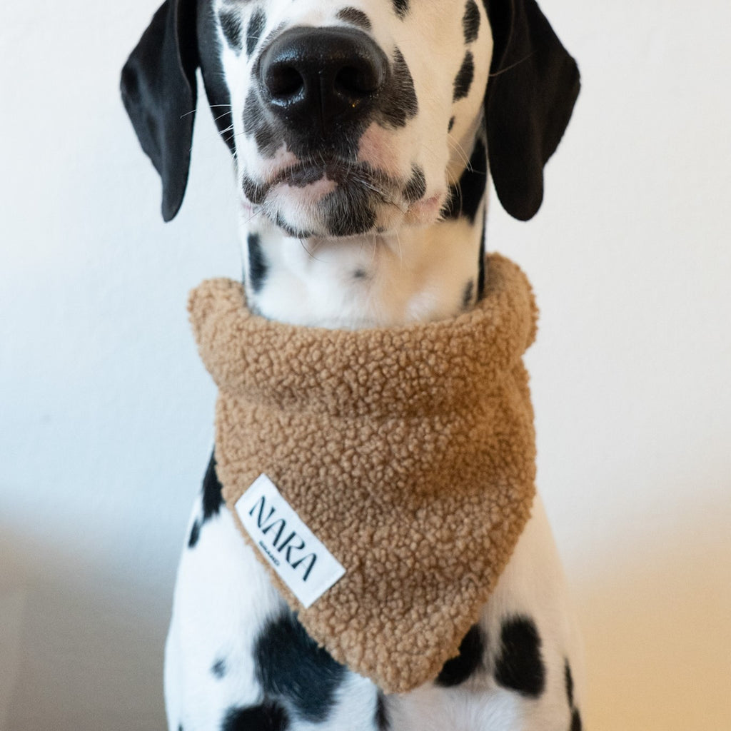 Teddy Scarf