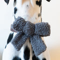 Teddy Bow