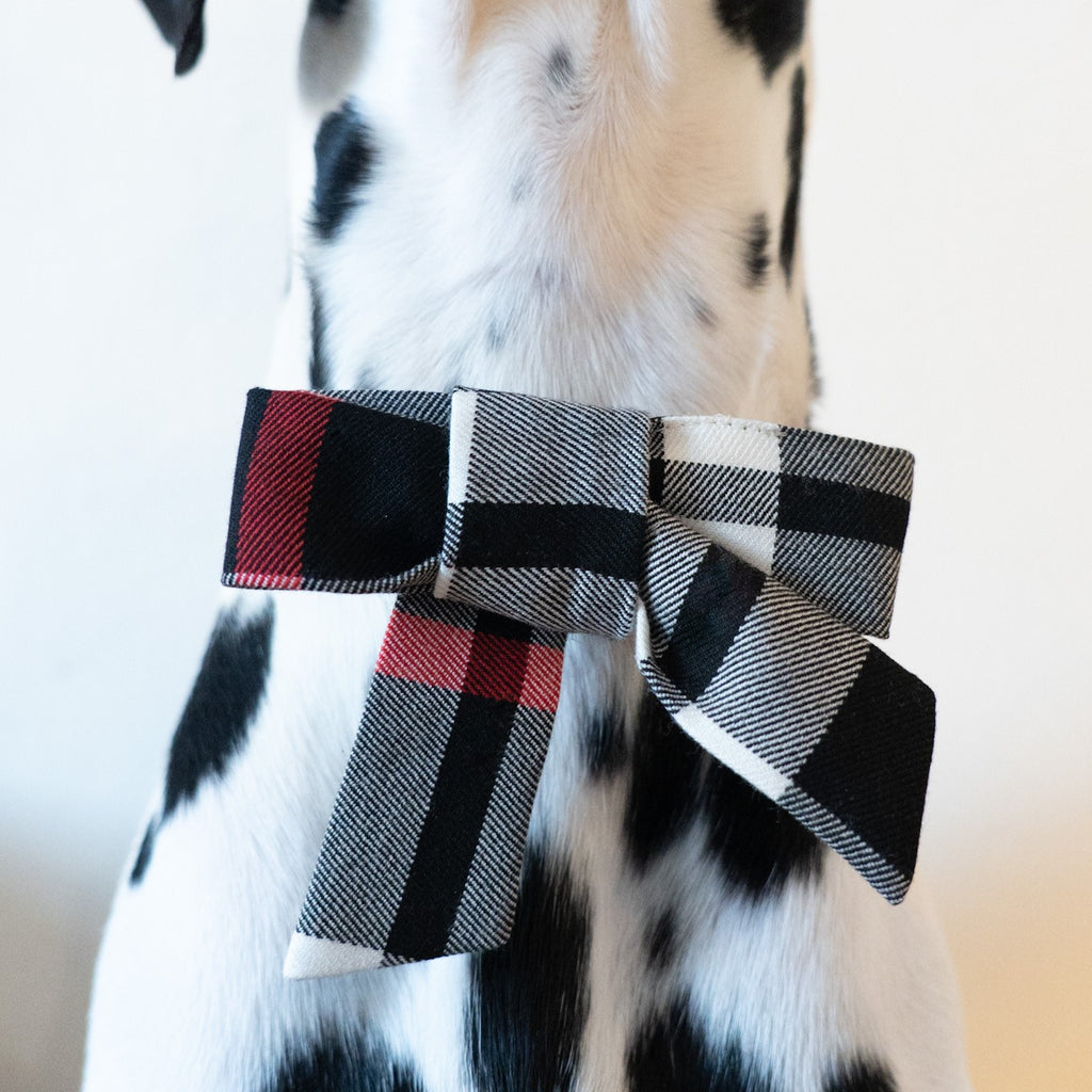 Check Bow